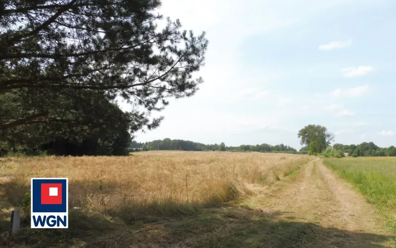 Działka na sprzedaż Kozin