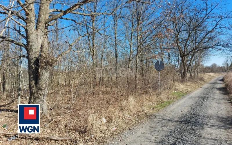 Działka na sprzedaż Szprotawa